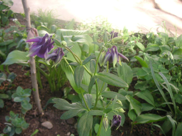SANY0102