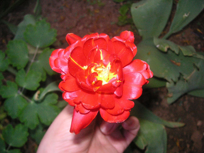 SANY0109