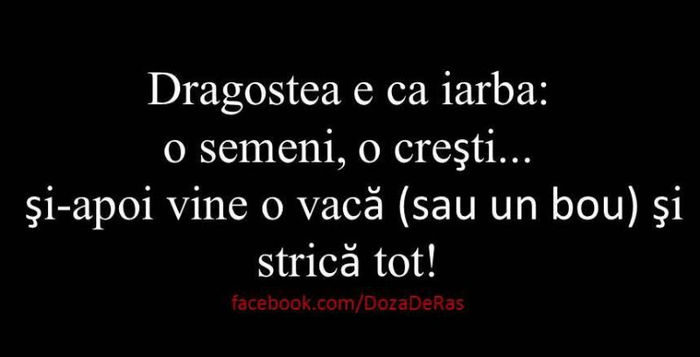 420650_491254507596521_1205487654_n - xo_Doza de ras_xo