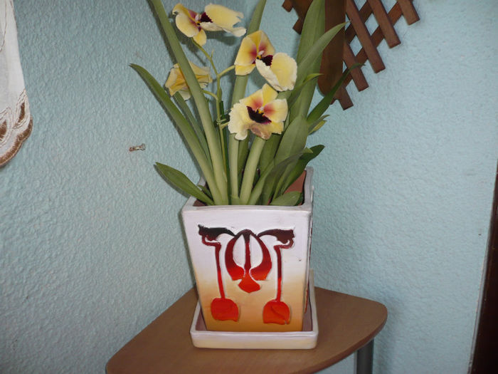 P1020990; CADOUL DE LA SOTUL MEU DRAG DE FLORII
