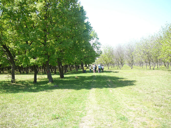 P1470750