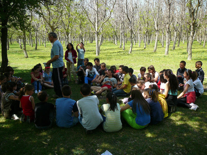 P1470809 - 2013 - Padure -28 aprilie