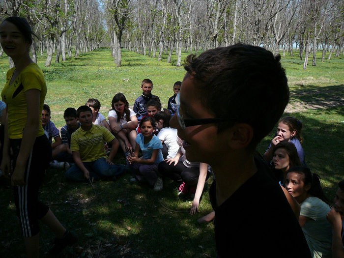 P1470814 - 2013 - Padure -28 aprilie
