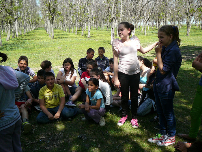 P1470817 - 2013 - Padure -28 aprilie
