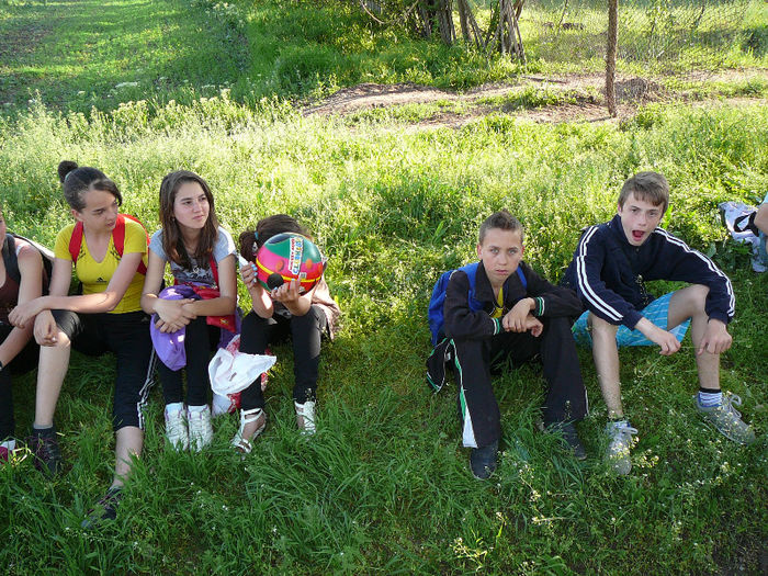 P1470910 - 2013 - Padure -28 aprilie