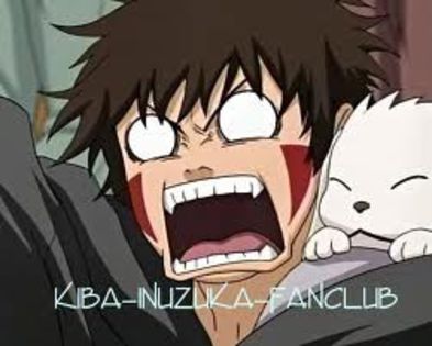 images - kiba inuzuka