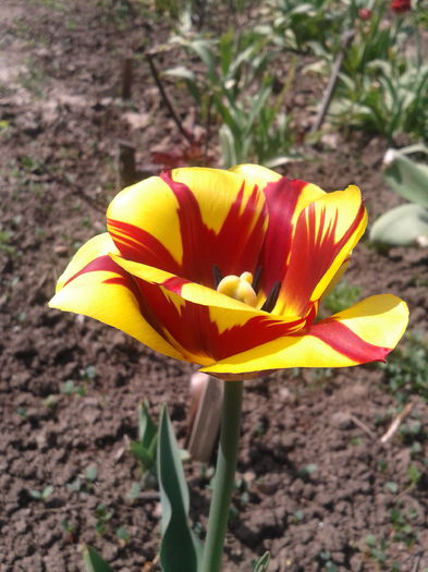 2013-04-27 11.11.48