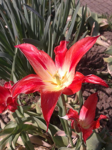 2013-04-27 11.03.26