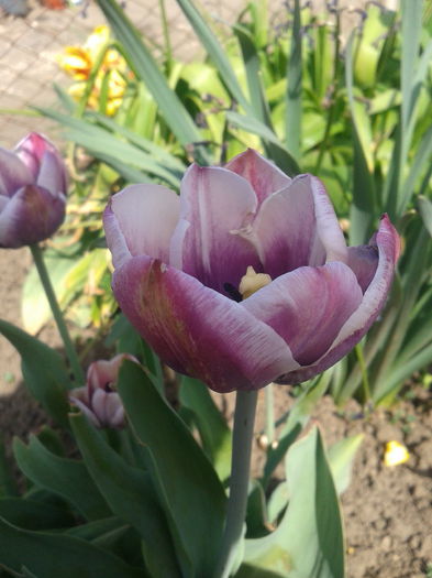 2013-04-27 11.02.39