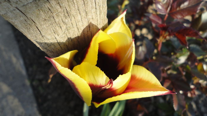 DSC06400