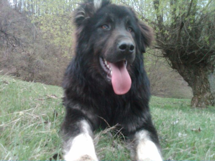 IMG00463-20130422-1337