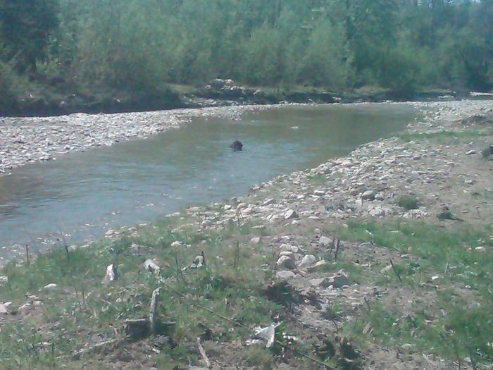 IMG00476-20130426-1150