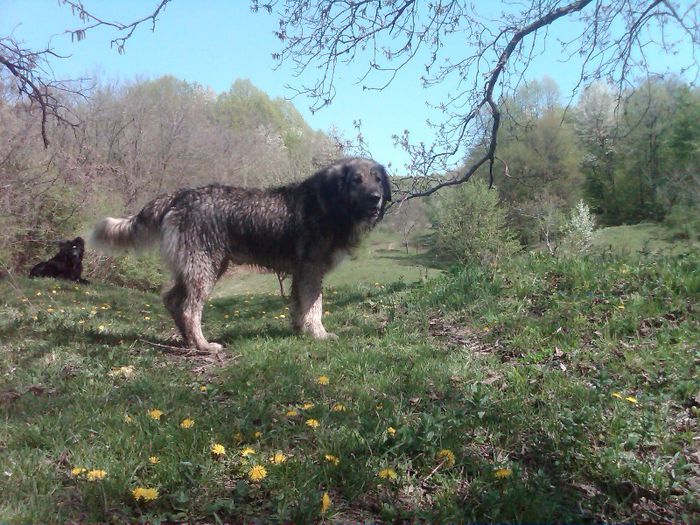 IMG00480-20130427-1054