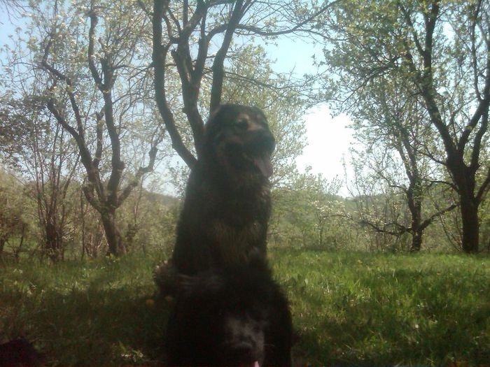 IMG00481-20130427-1306