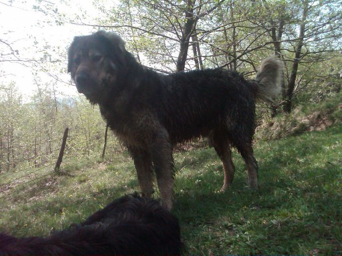 IMG00482-20130427-1352