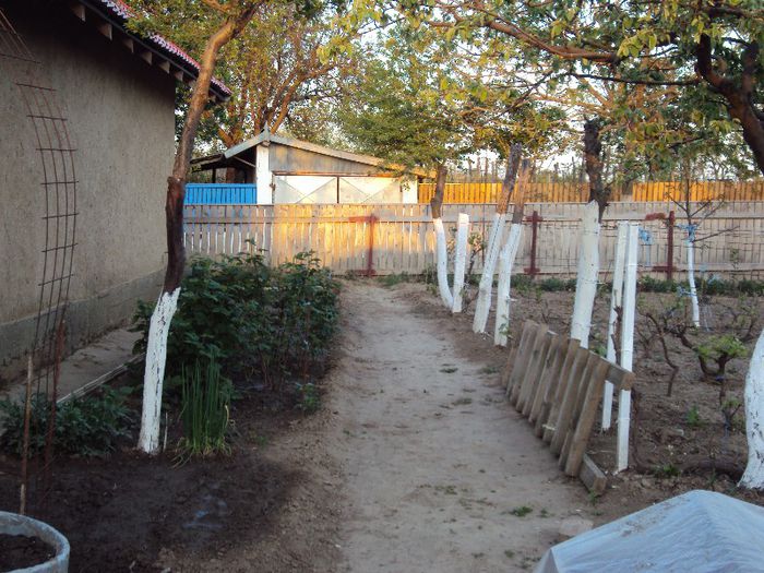 DSC01720