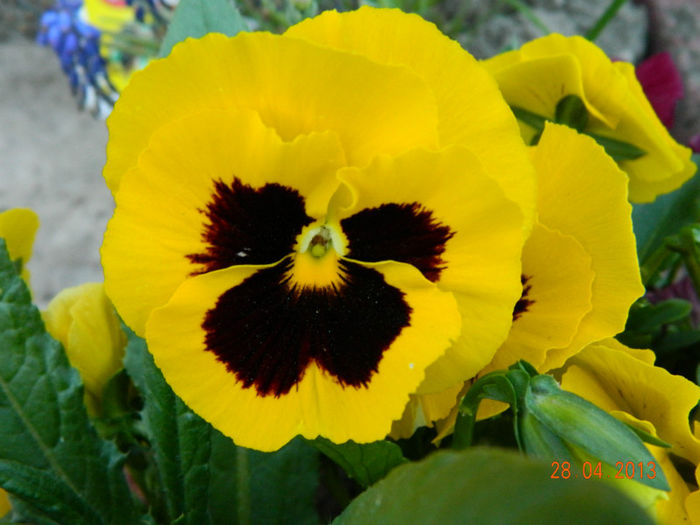 003