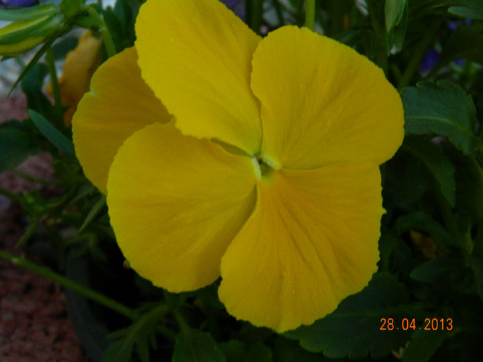 006