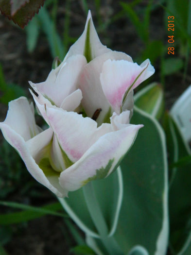 010