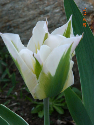 011