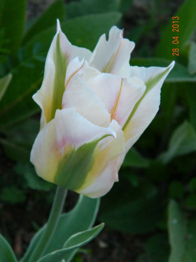 012