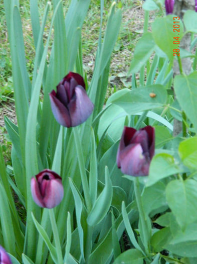 019