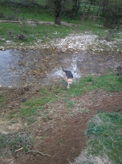 o baie de primavara,cam rece apa