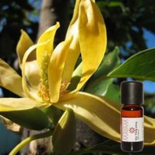 esenta si  floarea de ylang-ylang - SAPUN NATURAL POLEN DE FLORI-YLANG YLANG