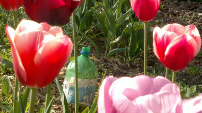 28.04.2013 140 - c -primavara 2013