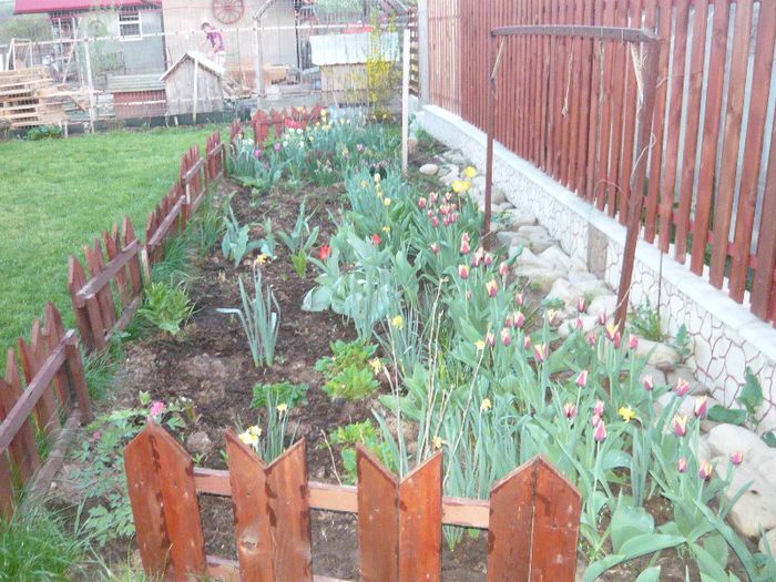 Picture 1842 - curtea primavara