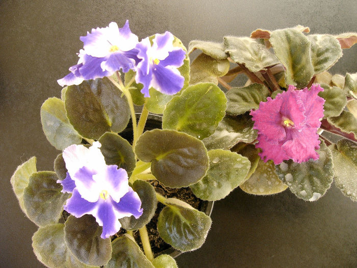 IMAG0014