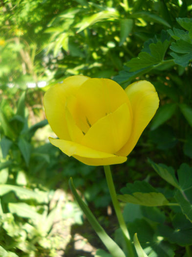 DSCN4039