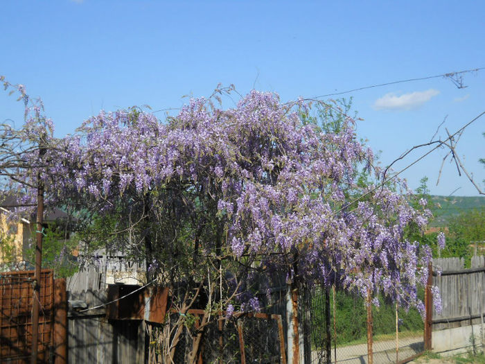 DSCN4049