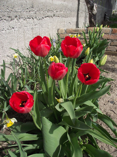 DSCF0117 - 2013