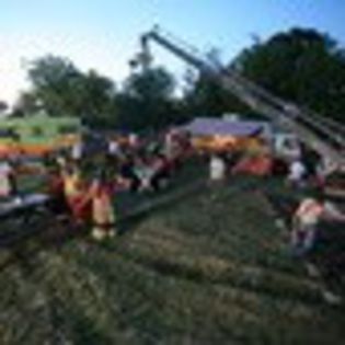 inima-de-tigan-270105l-thumbnail_gallery