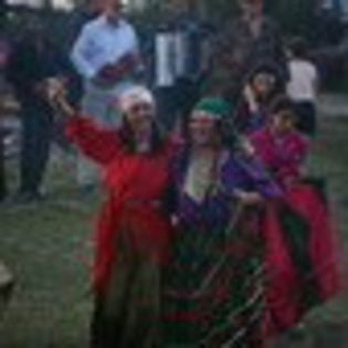 inima-de-tigan-314036l-thumbnail_gallery