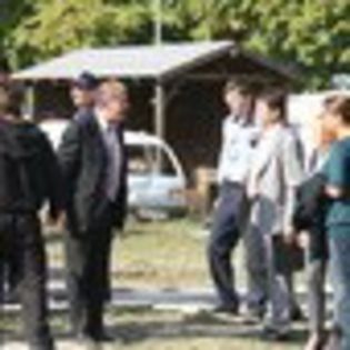 inima-de-tigan-346087l-thumbnail_gallery