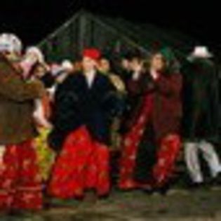 inima-de-tigan-516034l-thumbnail_gallery