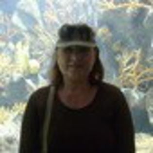 inima-de-tigan-546148l-thumbnail_gallery