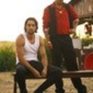 inima-de-tigan-565070l-thumbnail_gallery