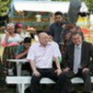 inima-de-tigan-678245l-thumbnail_gallery