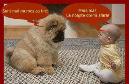 541341_129729923878779_1304794029_n - xo_Doza de ras_xo