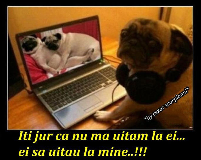 482698_4547585810263_1021183778_n - xo_Doza de ras_xo