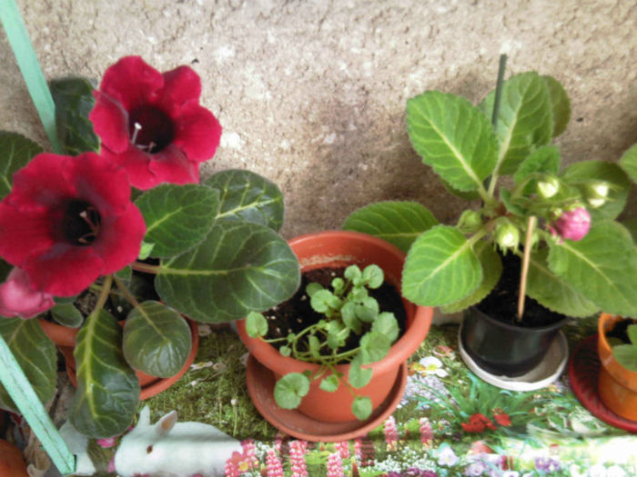 Poza de grup si campanla in mijloc...