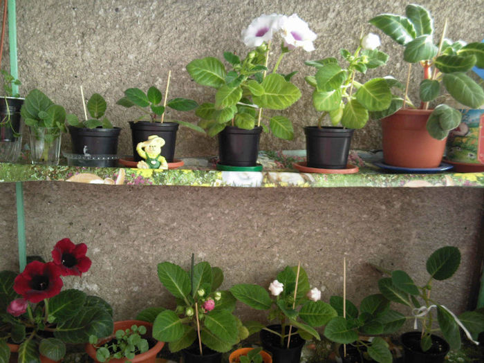 Poza de grup cu frumoasele mele!