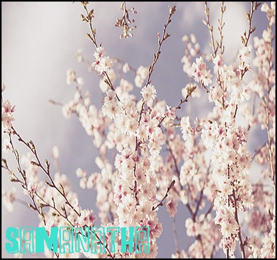 La mama lui . . . . . . .