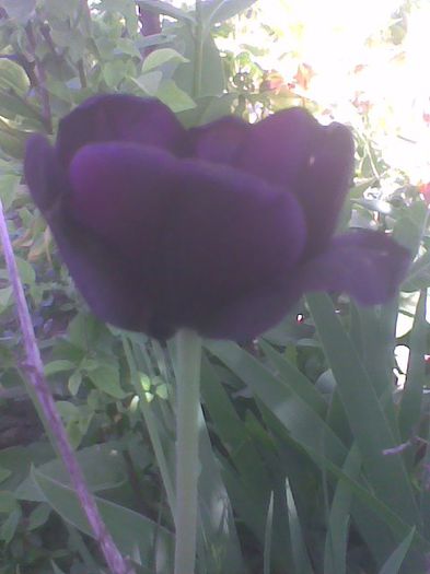 Imag0564