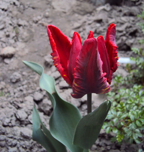 DSC03001