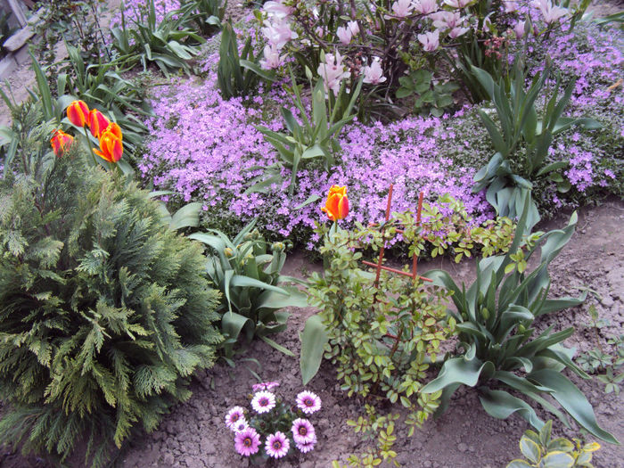 DSC03003