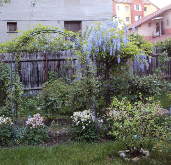 DSC03172